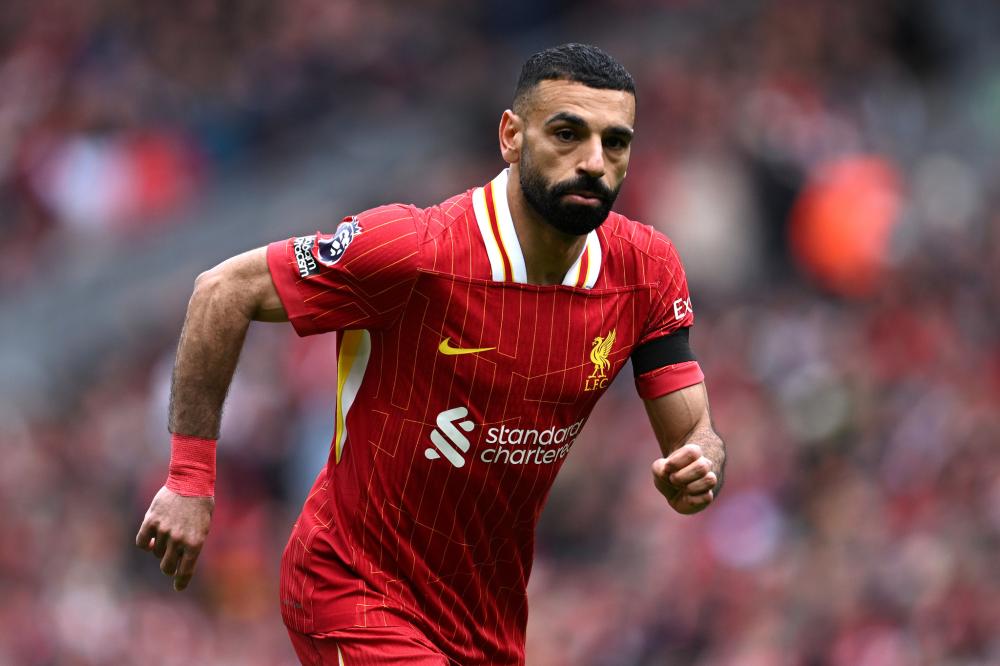 这使得他们 这使得他们